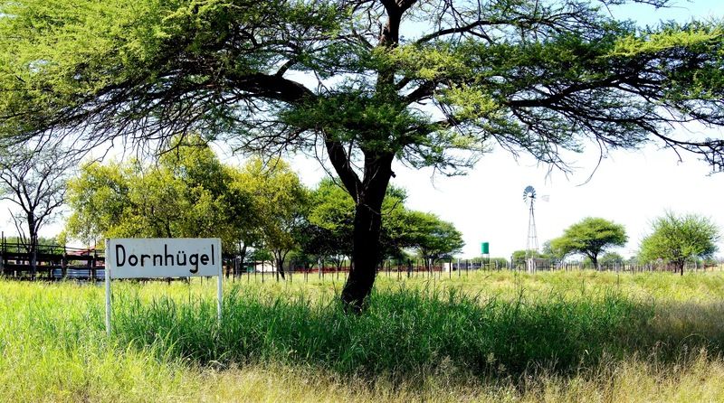 Dornhuegel Guestfarm Hotel Grootfontein Exterior foto